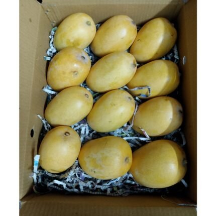 Medium Kesar Mangoes  1 Dozen