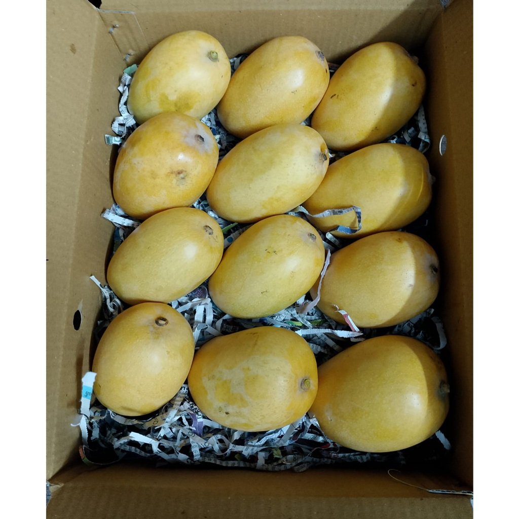 Large Kesar Mangoes 1 Dozen (2)