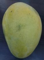 Fresh Safeda Mango