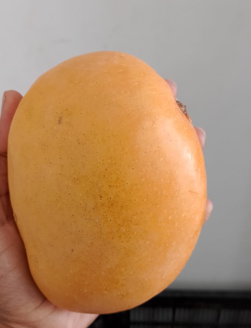 Sweetness You Can Trust. Freshness in Every Bite. Nature's Finest Mangoes. From Farm to Family.